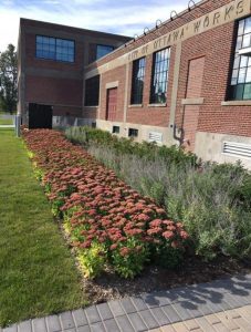 landscaping