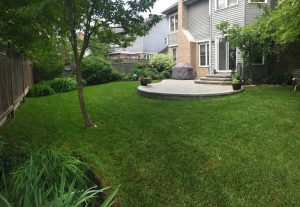 patio interlock grass yard