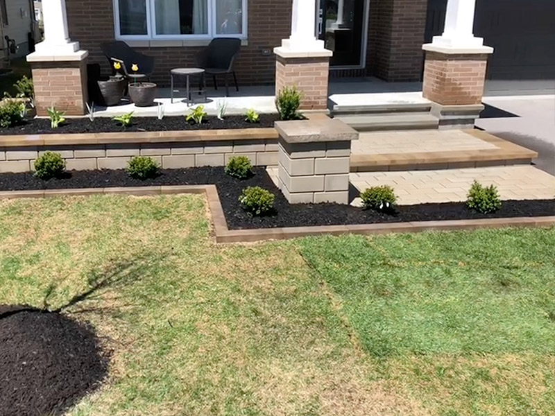 front lawn with stone walkway