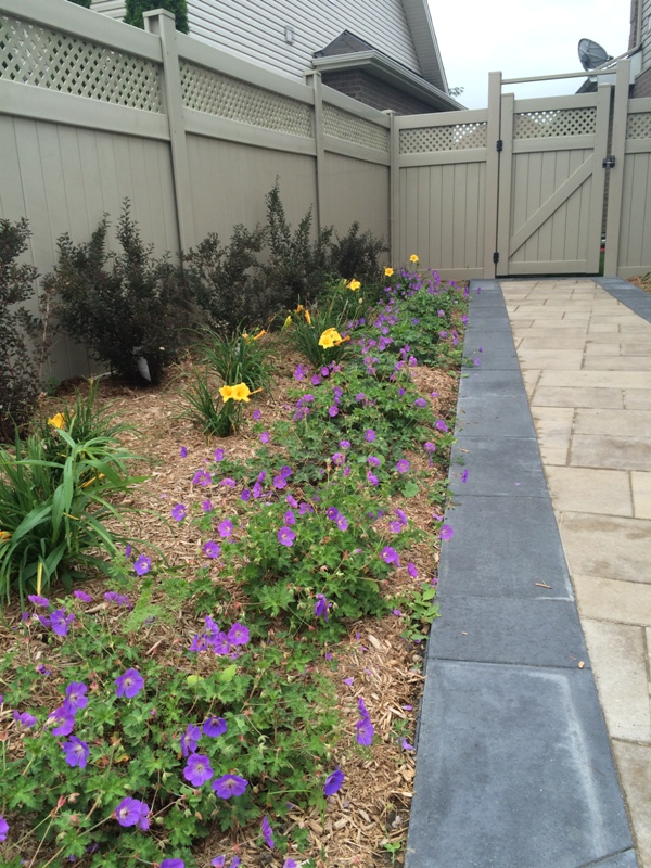 flower planters stone walkway