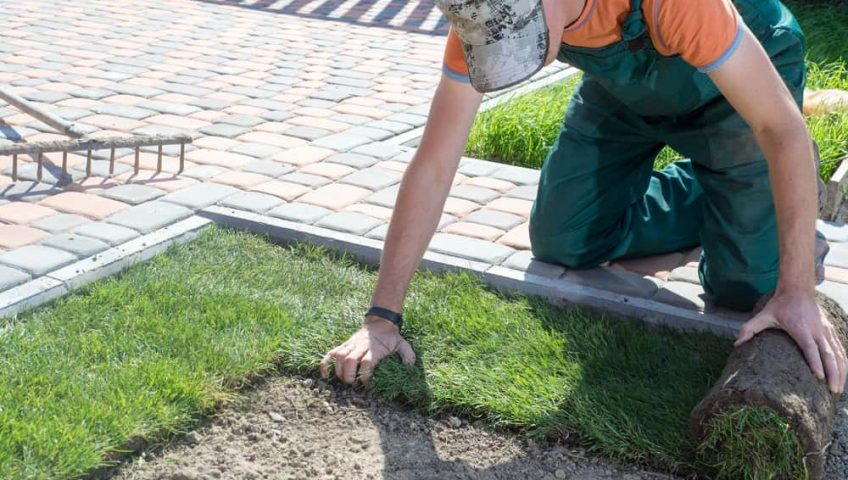 Landscaping Should Only Be Done by Professionals — Here's Why