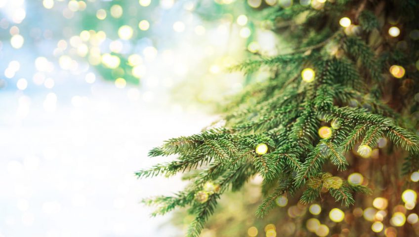 4 Ways to Create the Best Holiday Yard in Your Neighbourhood