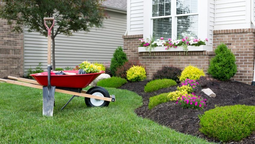 Why You Should Start Your Landscaping in Spring