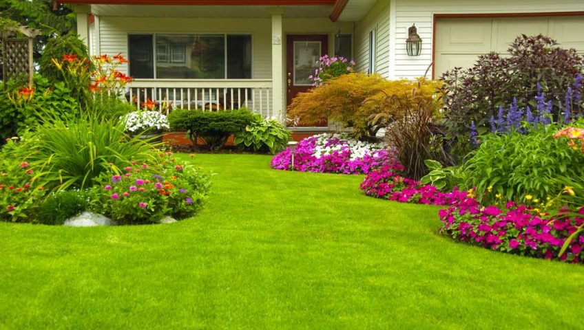 The 5 Simple Ways to Brighten Up Your Front Yard