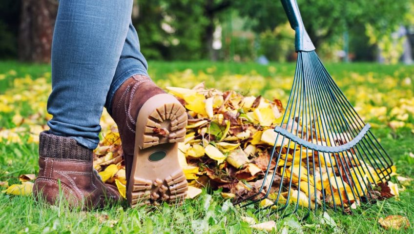 6 Tips for Preparing Your Yard for the Winter