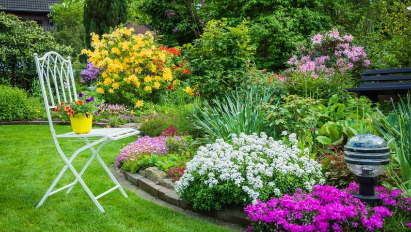 3 Reasons Why You Need to Care for Your Lawn Year-Round