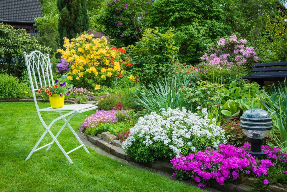 Why You Need to Care for Your Lawn YearRound Grow Green