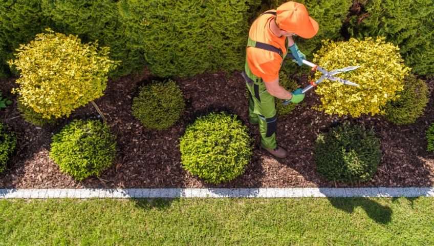 5 Ways to Start Planning for Your Spring Landscape